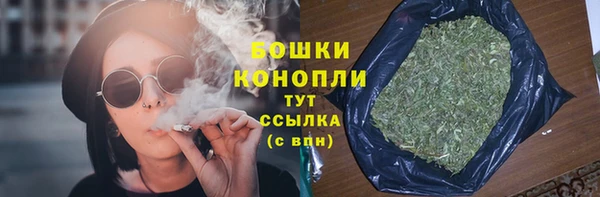 спиды Богородск