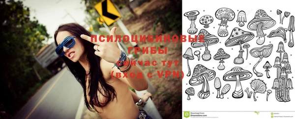 наркотики Богородицк