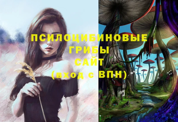 наркотики Богородицк