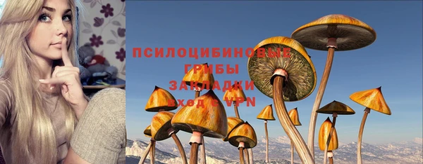 spice Богданович